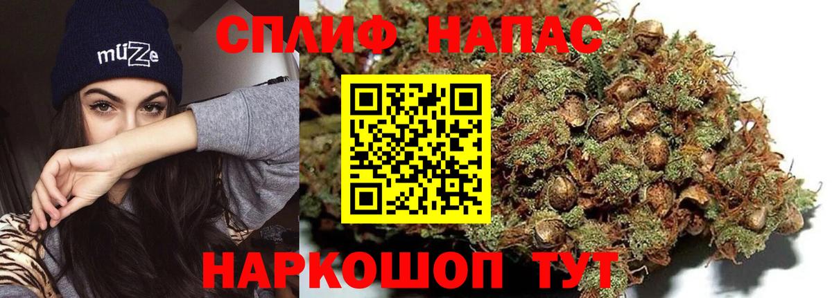 Бошки марихуана планчик Сальск